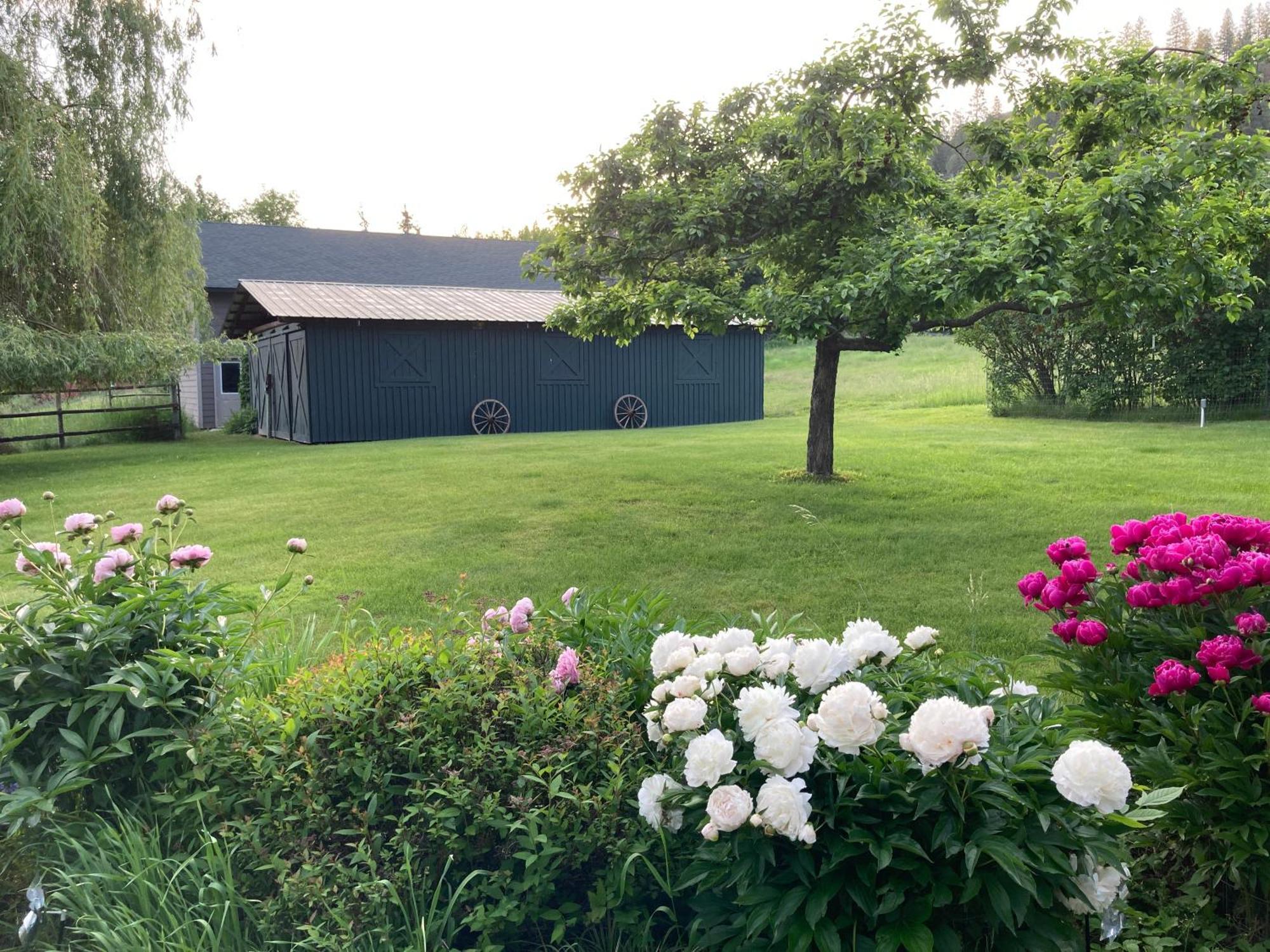 Hostal Hideaway Ranch Bonners Ferry Exterior foto
